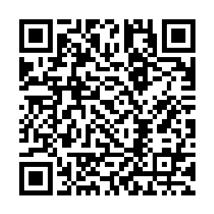 要知道自己只是才从一个洞府世界到來的外來生命啊二维码生成
