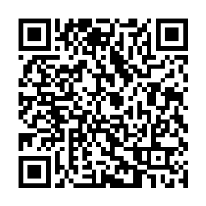 要知道药玄已经卡在了半帝境界不知道多少亿万年了二维码生成