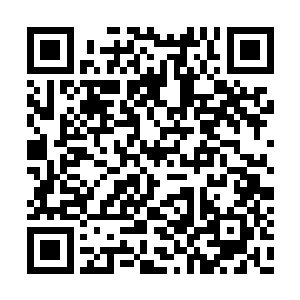 要知道这两个小魔主的实力其实也是相当强悍的二维码生成