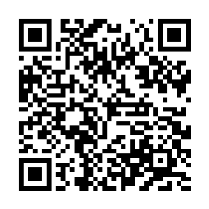 要知道这五个凝婴境界的高手可是杨家现在的顶梁柱二维码生成