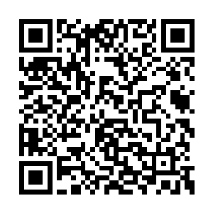 要知道这些东西可是比家族记载中丰富了很多了二维码生成