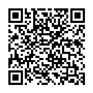 要知道这些人可全部都是他从亡魂族他那个分支挑选出来的精英二维码生成