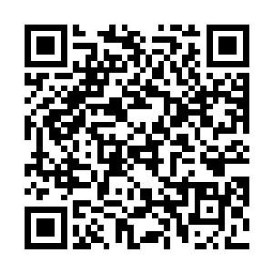 要知道这些轮回分身可是他利用轮回之力所凝聚出来的二维码生成