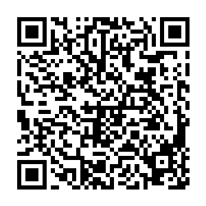 要知道这几个人无论哪一个拿出来放眼神武帝国都是名震一方的高手二维码生成