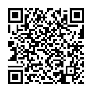 要知道这十二翼堕落天使可是相当于高级神的修为二维码生成
