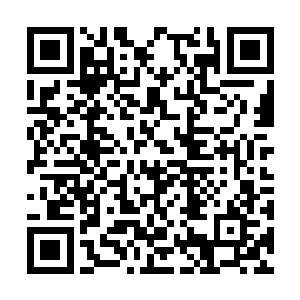 要知道这套拳术心法可是出自武当掌教洪洗象之口二维码生成