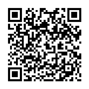 要知道这尊身躯在本质上走的还是本尊体修之道二维码生成