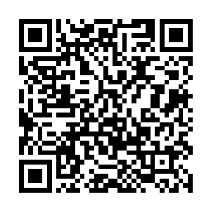 要知道这次他带来的这些人最低都是后天五重的修为二维码生成