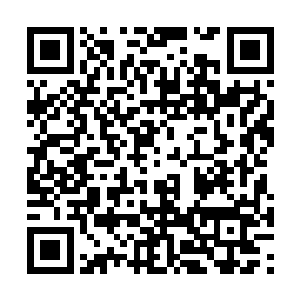 要知道这次前往陨石带的修士可都是他们的族长啊二维码生成