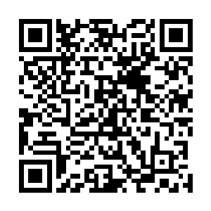要知道这混沌钟在进入他体内之后就长时间处于蛰伏状态二维码生成