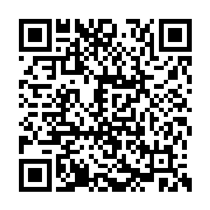 要知道这里可是大道境界的高手开辟出来的世界二维码生成