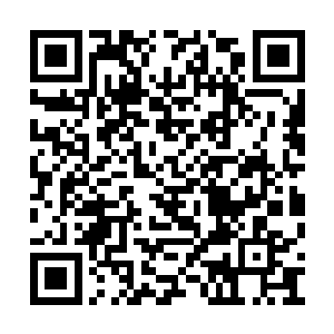 要知道这里面的童童还是你们情治部门的人来着二维码生成