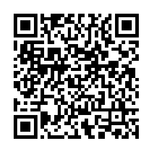 要知道这颗珠子的隐匿实力的能力可是十分强大的二维码生成