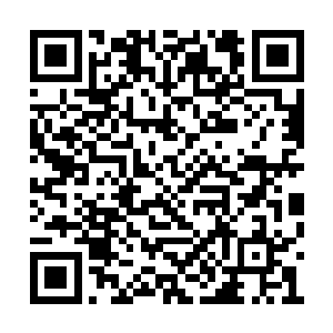 要知道金无锋等人的修为几乎都比自己的弟子强二维码生成