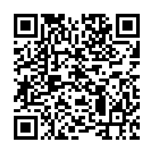 要知道龙傲天现在的体质可是整个天地间最恐怖的鸿蒙道体二维码生成