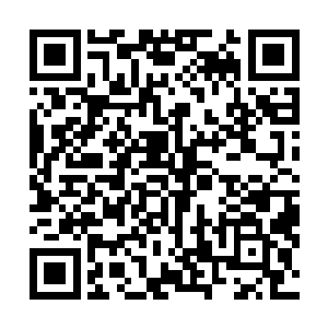 要知道龙傲天的身份在整个太玄宗之中可是十分的超然的二维码生成