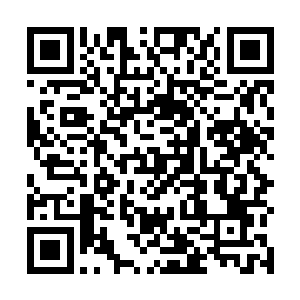 要知那名被刺于马下的将军可是襄樊战力前三甲的猛士二维码生成