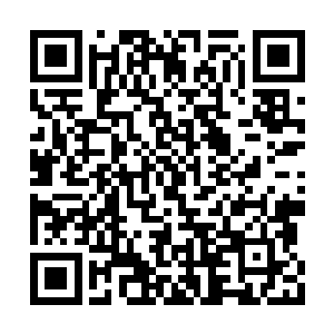 要等到德康集团将种兔平安运到华国后才会支付二维码生成