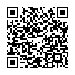 要让弟兄们做无谓的牺牲了…一帮老奸巨猾的东西二维码生成