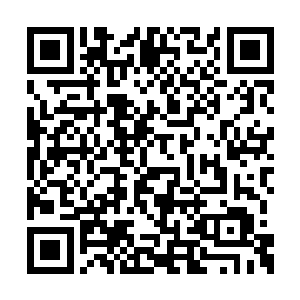 要让罗伊八世同意将魔鬼训练营搬迁到皮克岛上二维码生成