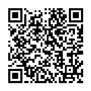 要论真正的实力与杨戬和当年大闹天宫的孙悟空都相差不多二维码生成