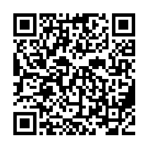 要说他刚才还一直有些怀疑许紫烟究竟能不能炼制五品的丹药二维码生成