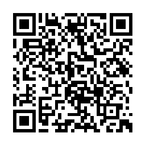 要说和郑磊比斗医也许孙子轩还差了那么一点点二维码生成