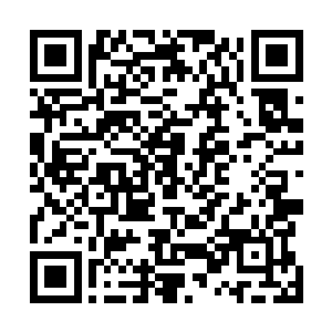 要说智能管家唐龙等了这么一千多年才终于等来几个活人二维码生成