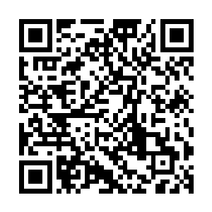 要说杨锐倒是不要求他和其他职工每天提前上班或者延迟下班二维码生成
