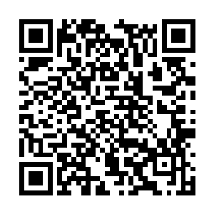 要说每天都带着一头小黑狼出门倒是有些不太方便二维码生成