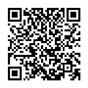 要说这天机一族确实厉害竟然能够盗取别人的血脉力量为己用二维码生成