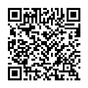 要说这成年人的拳头确实和小孩子的拳头不一样二维码生成