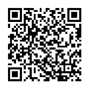 要说这血魂石还是有一个好处的――加快血液流动速度二维码生成