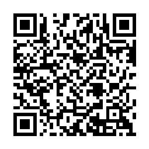 要说钢铁圣母和德约没什么关系高扬是不敢信的二维码生成