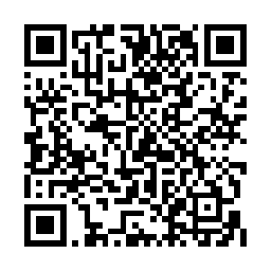 要说问题就出在他的那个宝贝儿子苗少杰的身上二维码生成