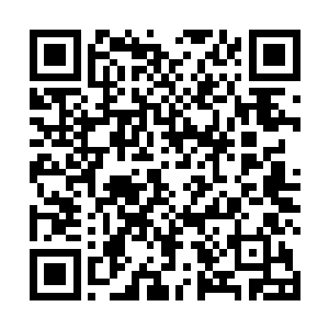 要这样的一个荒岛成为自己家族的栖息地皇帝会答应的二维码生成