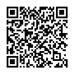 覆满黑色藤蔓花纹的流墨墨瞬时被浓郁的血妖姬之力包裹住二维码生成