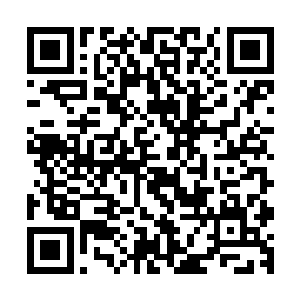 见一个十四五岁的少年正趴在马车边上看着他腰上的一块玉佩二维码生成