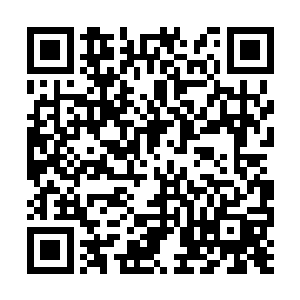 见他一脸失望和看到希望又被无情断绝的灰败表情二维码生成