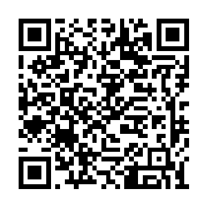 见他低着小脑袋貌似对自己的行为有些不好意思二维码生成