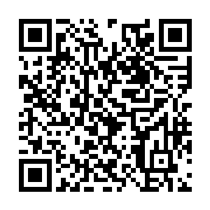 见他如老鼠见到猫一样的余锋这一次倒是硬气至极二维码生成