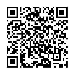 见他家翎儿单手叉腰举着手机在窗边来回的踱着步子二维码生成