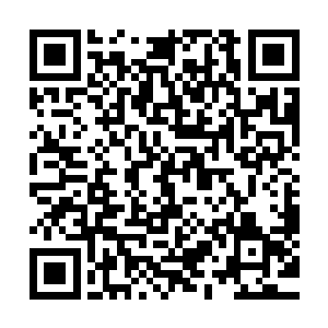 见冯文博陪着一位年纪顶天了也就二十来岁的年轻人走了进来二维码生成