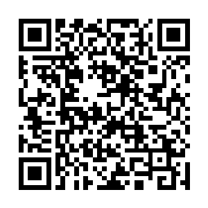 见几个宝贝孙子都已经把小盘子内的汤包给消灭干净了二维码生成