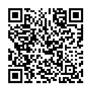 见几乎所有势力的强者都坐在客厅里一脸沉重地在商议什么二维码生成