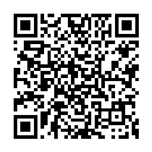 见到乖巧坐在餐桌旁等待就餐的顾初泽微微挑眉二维码生成