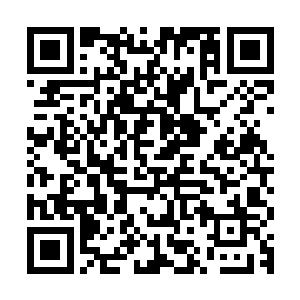 见到他那张原本麻木僵硬得如同枯木一般的脸已经有了一些变化二维码生成