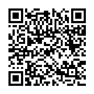 见到刚才还无比凶猛的紫川仙帝这么快就被干掉了二维码生成