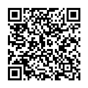 见到吴岩笔直的朝着混元地窟中央的源髓液湖泊走去二维码生成