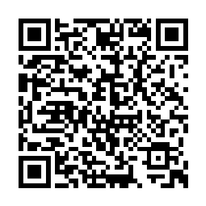 见到吴虎臣居然这么大摇大摆地在秦家之中行走二维码生成